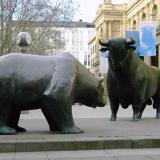 Bear vs bull